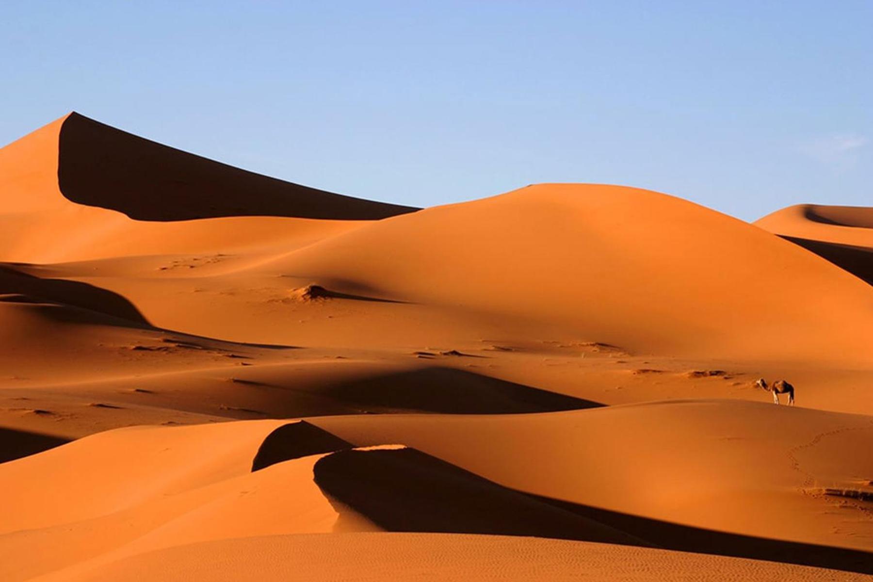 Desert Chegaga Luxury Camp El Gouera Eksteriør billede
