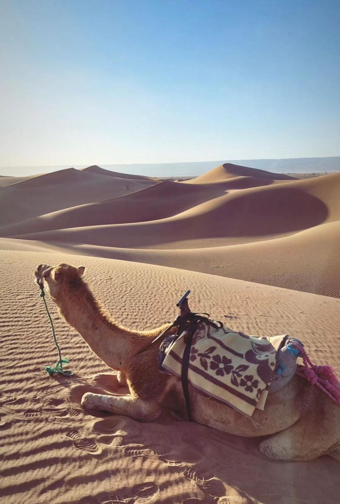 Desert Chegaga Luxury Camp El Gouera Eksteriør billede